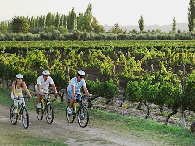 A Day of Biking & Wine Tasting in Mendoza’s Wineries — Mendoza