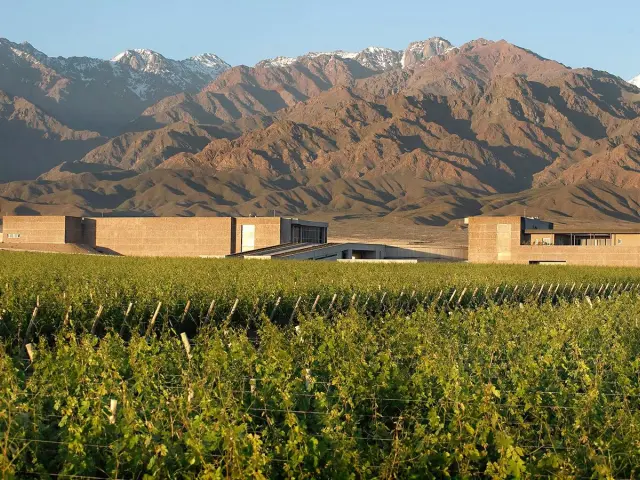 Uco Valley Wine Tour: Tasting Argentina’s Best High-Altitude Wines (private tour) — Mendoza