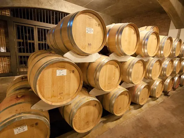 Savoring First-class Wines in Mendoza’s Central Region (private tour) — Mendoza