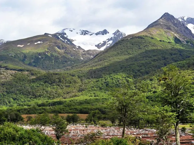 Our trek to the Vinciguerra Glacier takes us through lush green forests