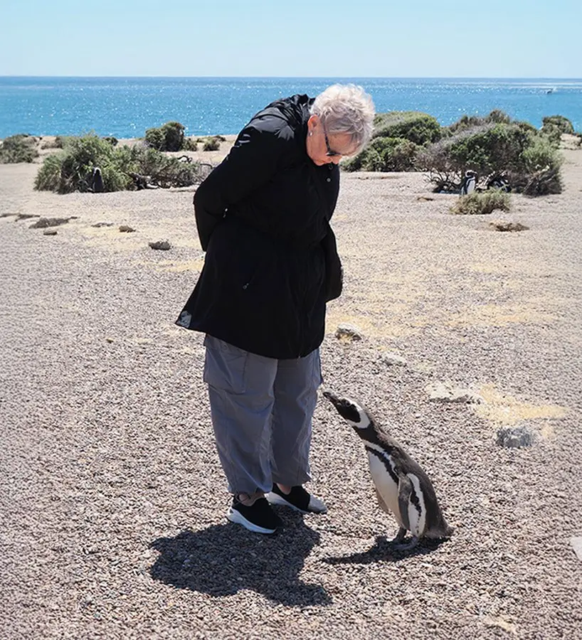 Freddi meeting a curious penguin in Peninsula Valdes
