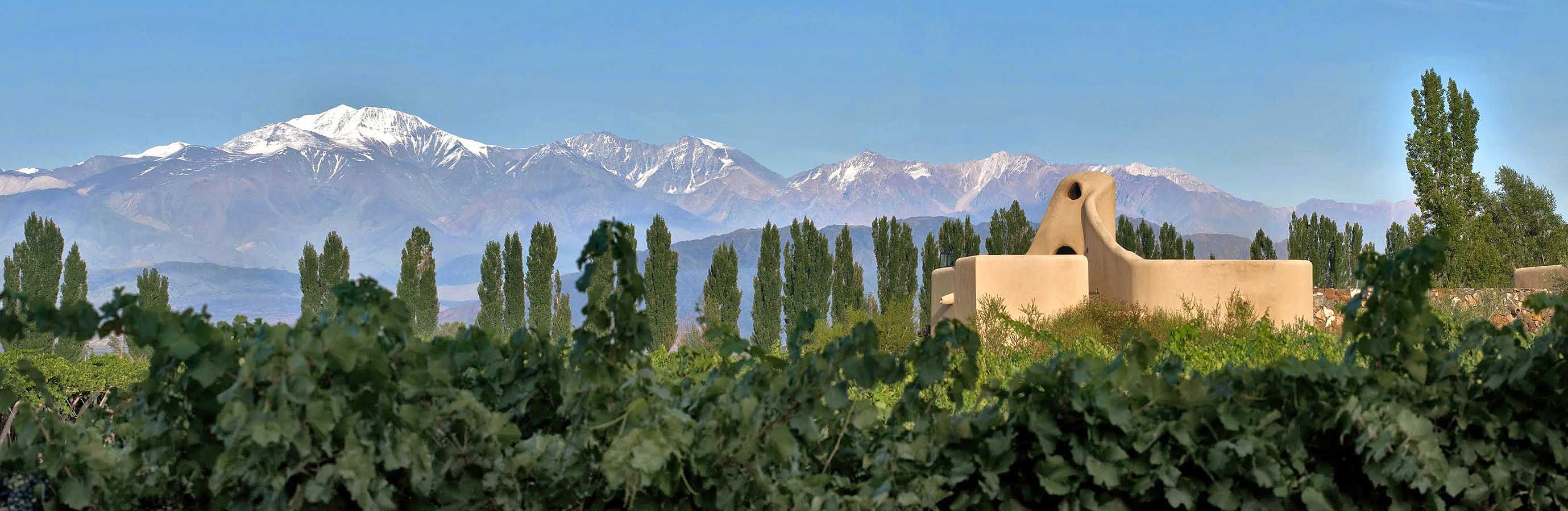 The lodge has beatiful views of the vineyards and mountains