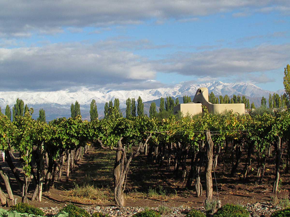 Surrounded by vineyards and the Andes mountain range