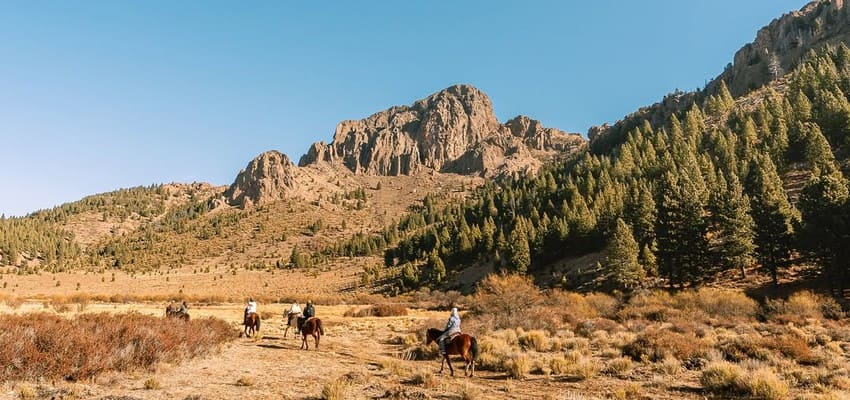 Explore the vast Patagonian steppe on horseback