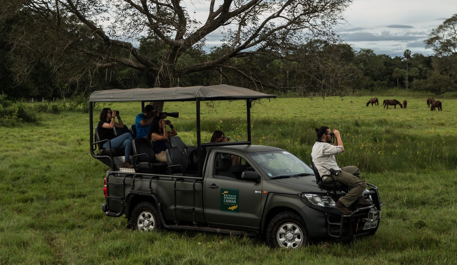 Aboard our safari vehicle we&rsquo;ll explore deeply into one of the world’s top wildlife spotting destinations