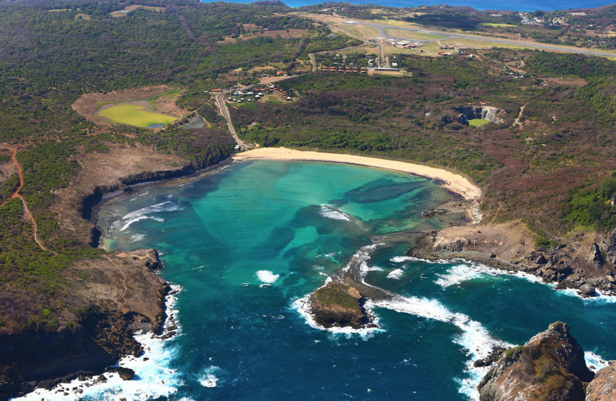 Bahia do Sueste beach is frequently populated by sea turtles