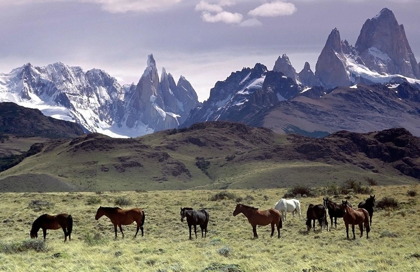 Ever present, the backdrop of the incredible Andes Mountain range allows for great photos
