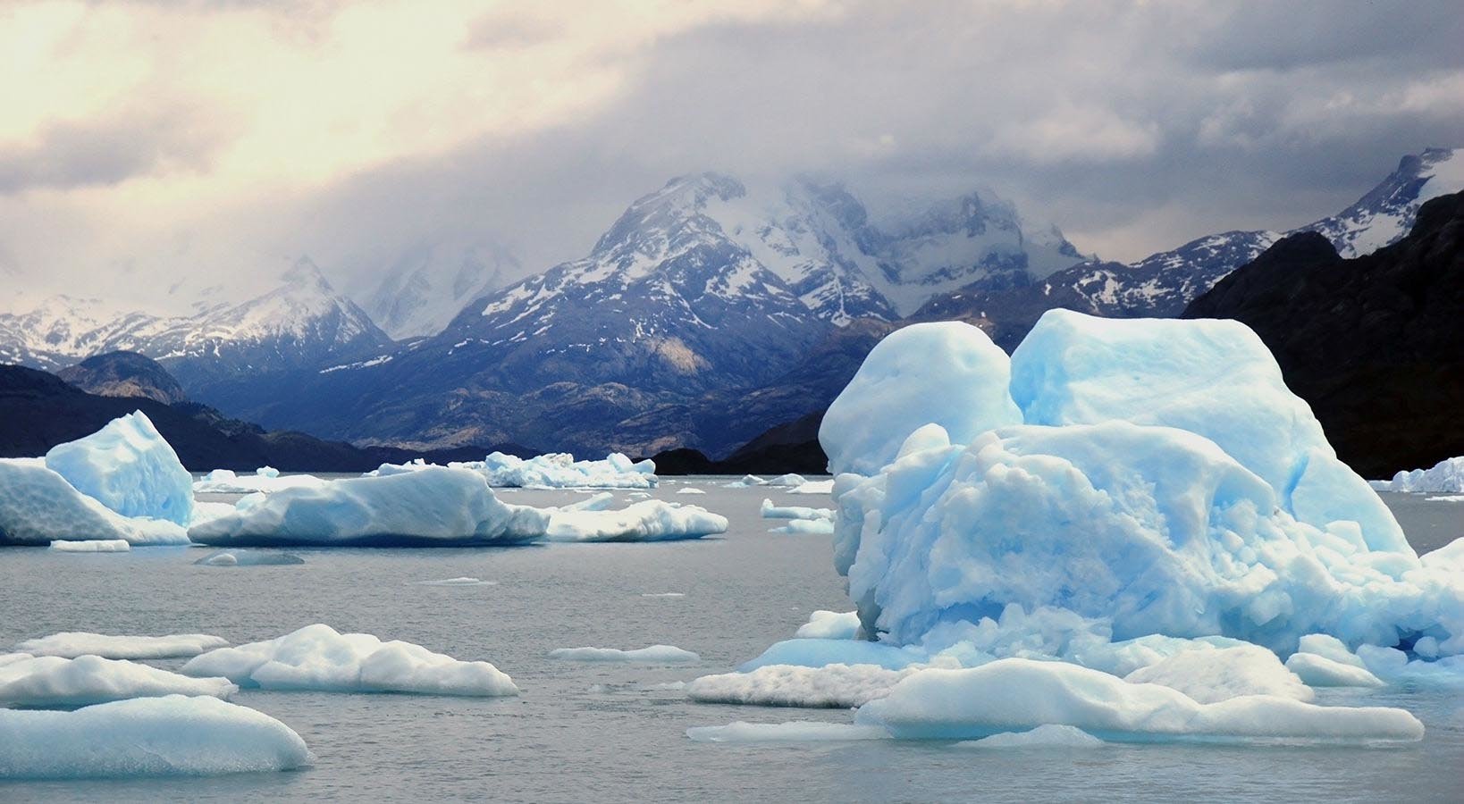 Icebergs floating in the cold waters, with the snow-capped mountains surrounding them