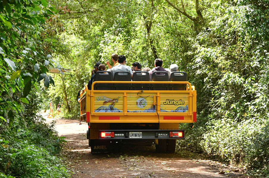 The tour stars with a truck ride in the jungle