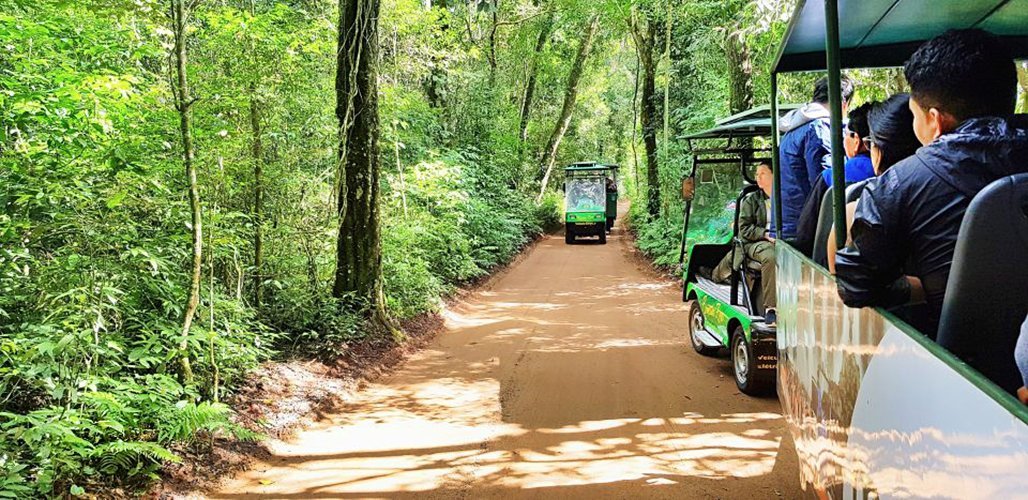 The tour stars with a ride in the jungle