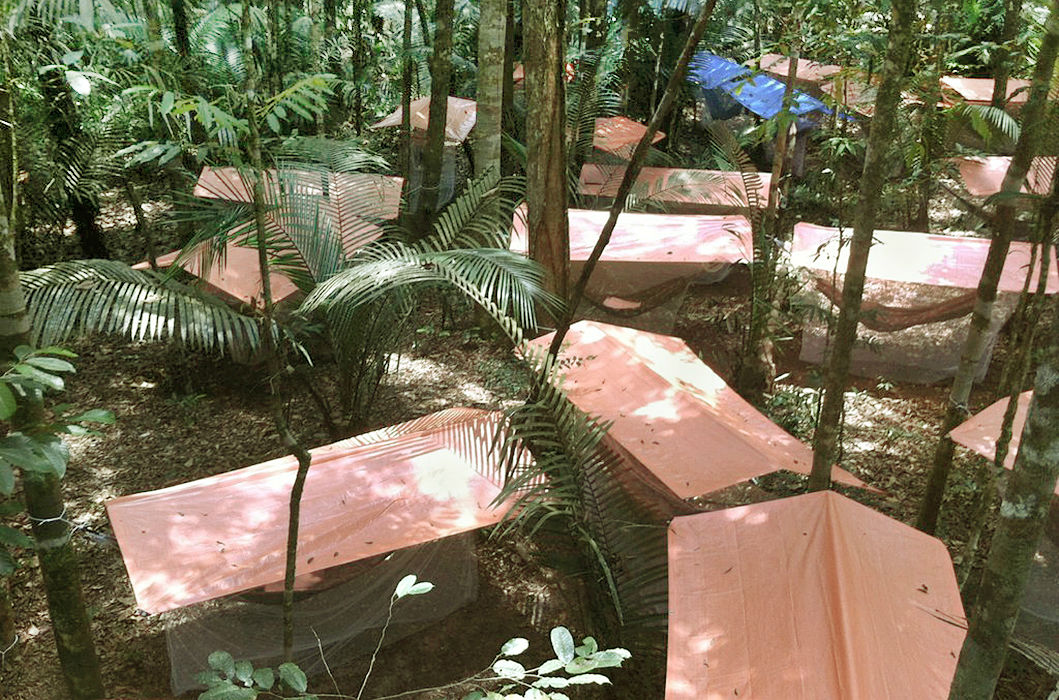 You can choose to spend the night back at the lodge, or on hammocks tied between trees, sheltered by canopies and nets.