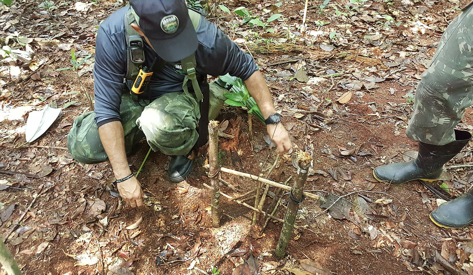 Learning to build a trap for survival