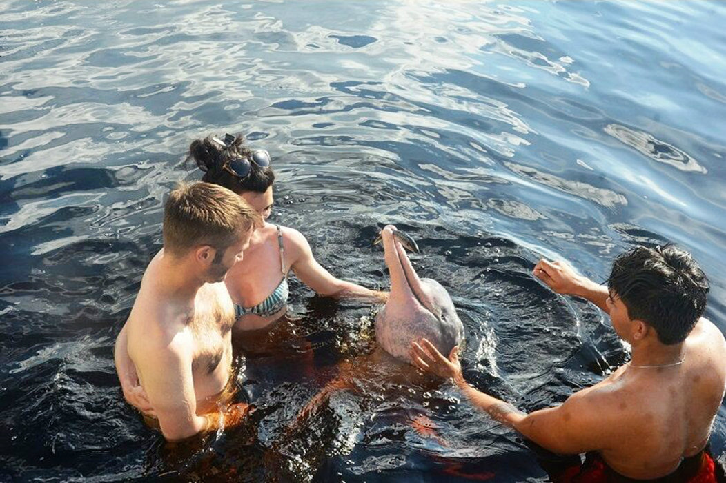 Enjoy an unique experience around pink dolphins, known for their very friendly nature