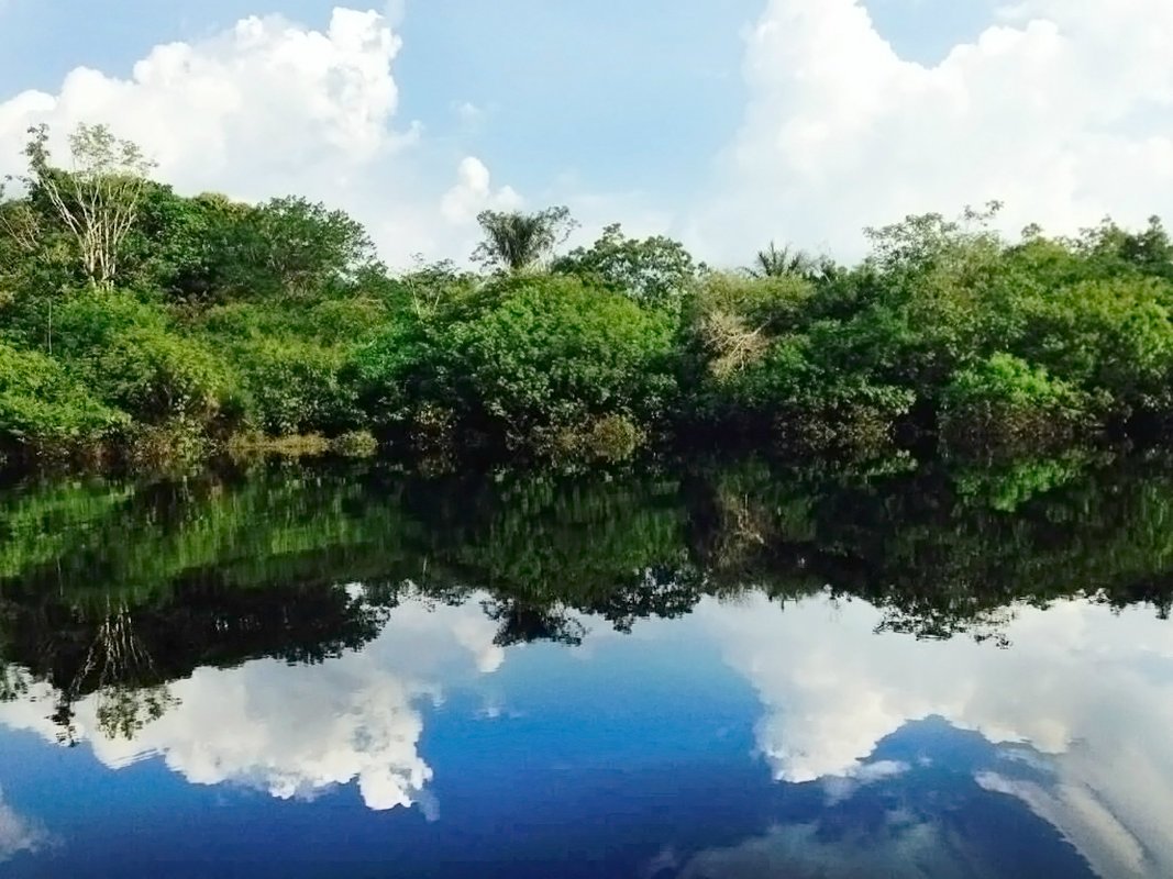 The Black River&rsquo;s waters are so black they reflect the landscape