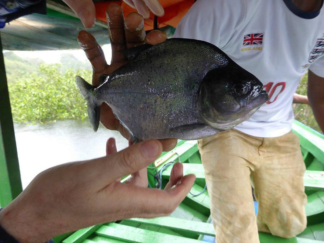 Getting ready to return our catch to the water!