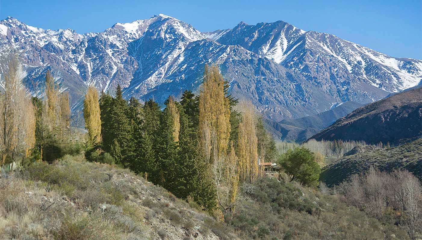 Scenic Mendoza’s Highmountain Ride and The Stone Sentinel The City