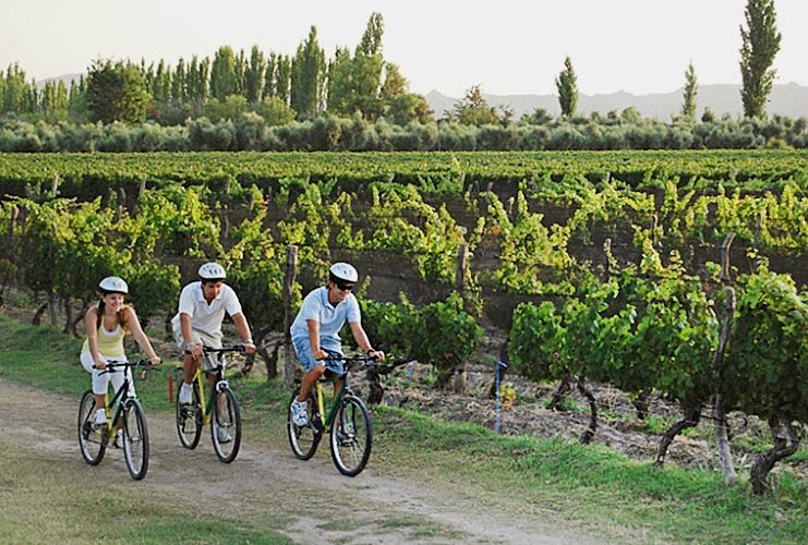Prepare yourself to hop on your bike and pedal to 3 Mendoza wineries
