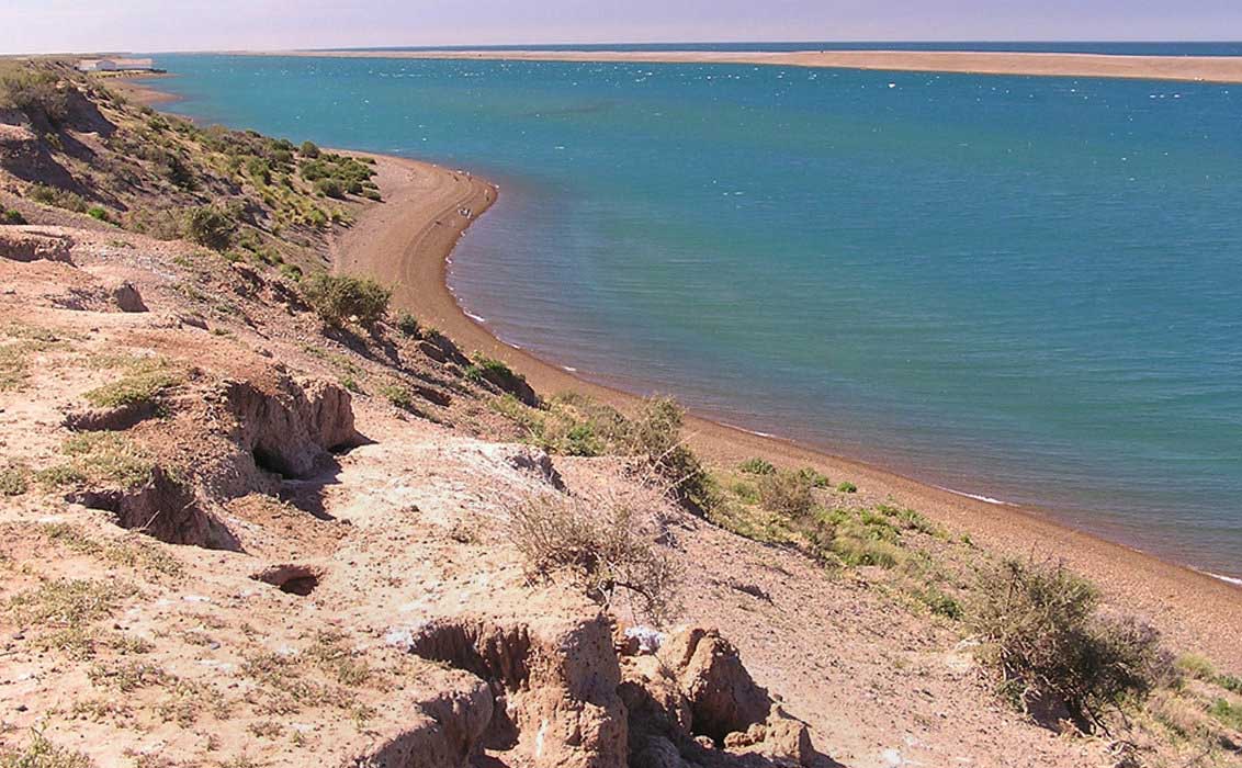 We’ll visit Caleta Valdes, a prime spot in the peninsula to see elephant seals and penguins