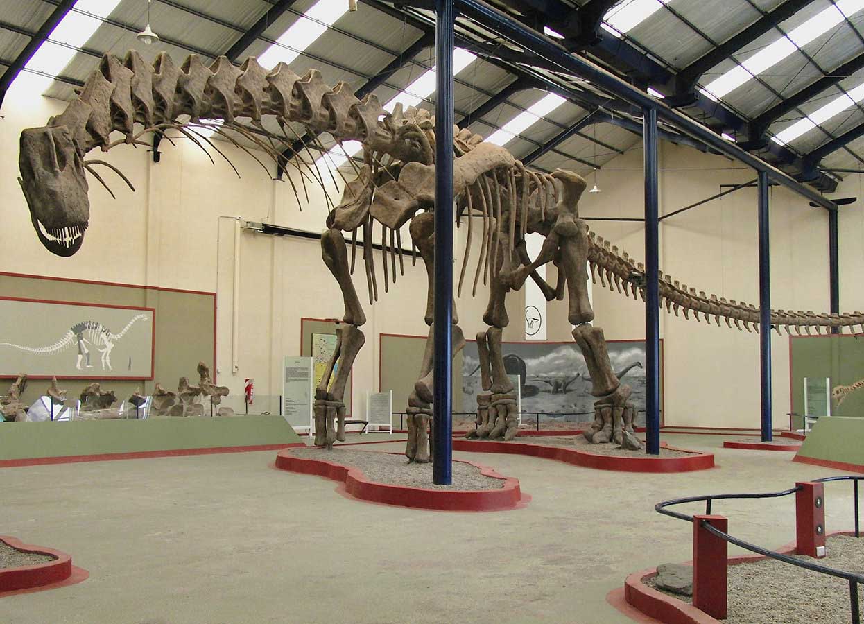 One of the largest dinosaurs ever to inhabit the planet: the Argentinosaurus