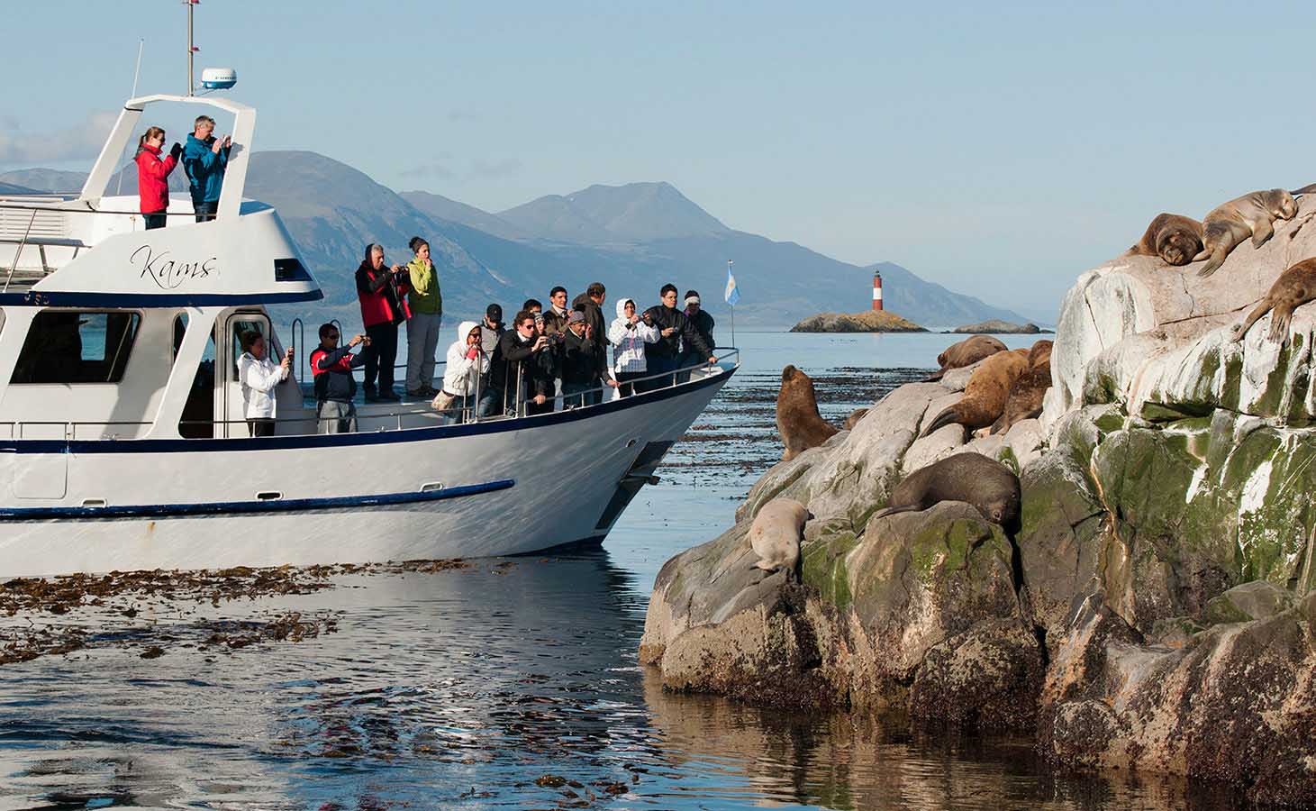 Approach and close-up view of the inhabitants of Sea Lions Island