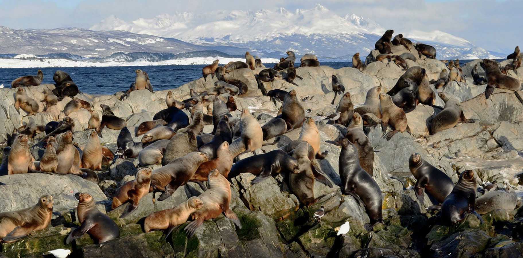 Sea Lion’s Island, where we’ll have the chance to grab some stunning shots of these mammals