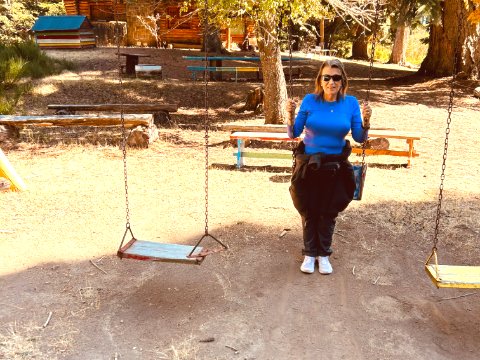 Playground pause in Bariloche's sunlit forest setting