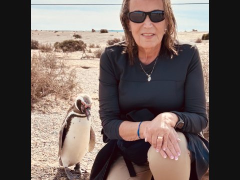 Penguin encounter at Peninsula Valdes' rocky coastline