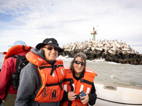 Cormorant colony thrives at Peninsula Valdes