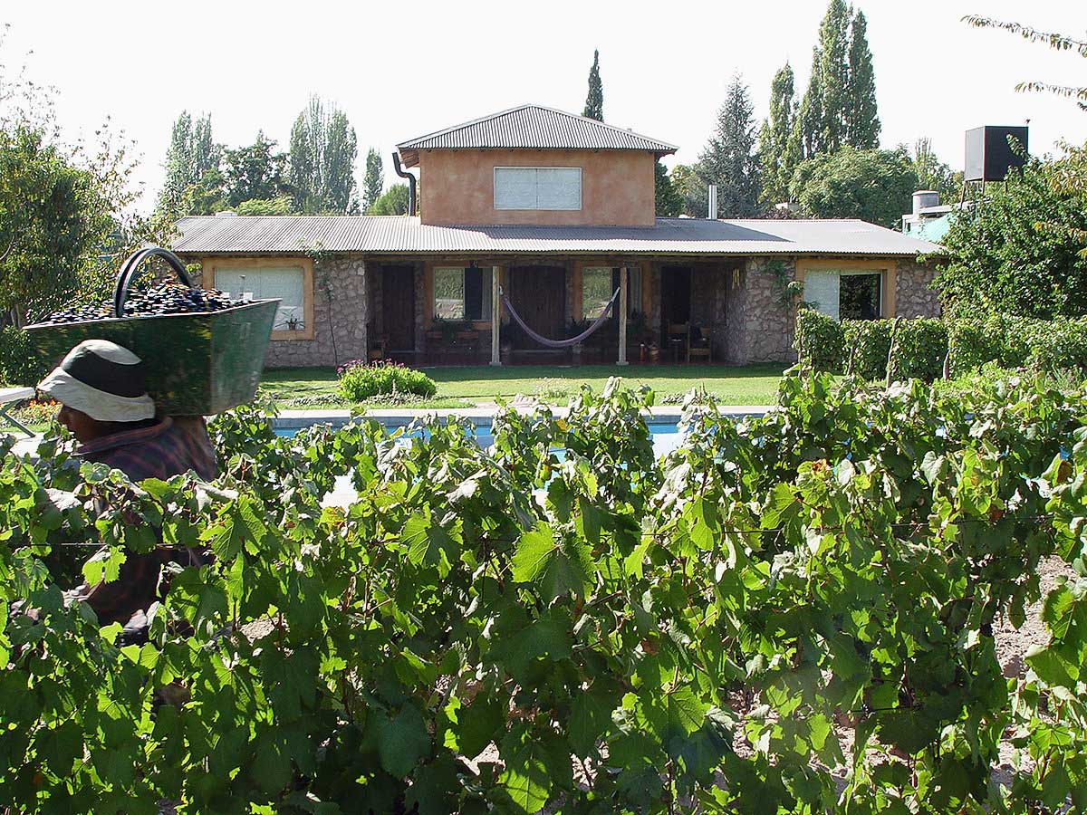 Finca Adalgisa is surrounded by vineyards