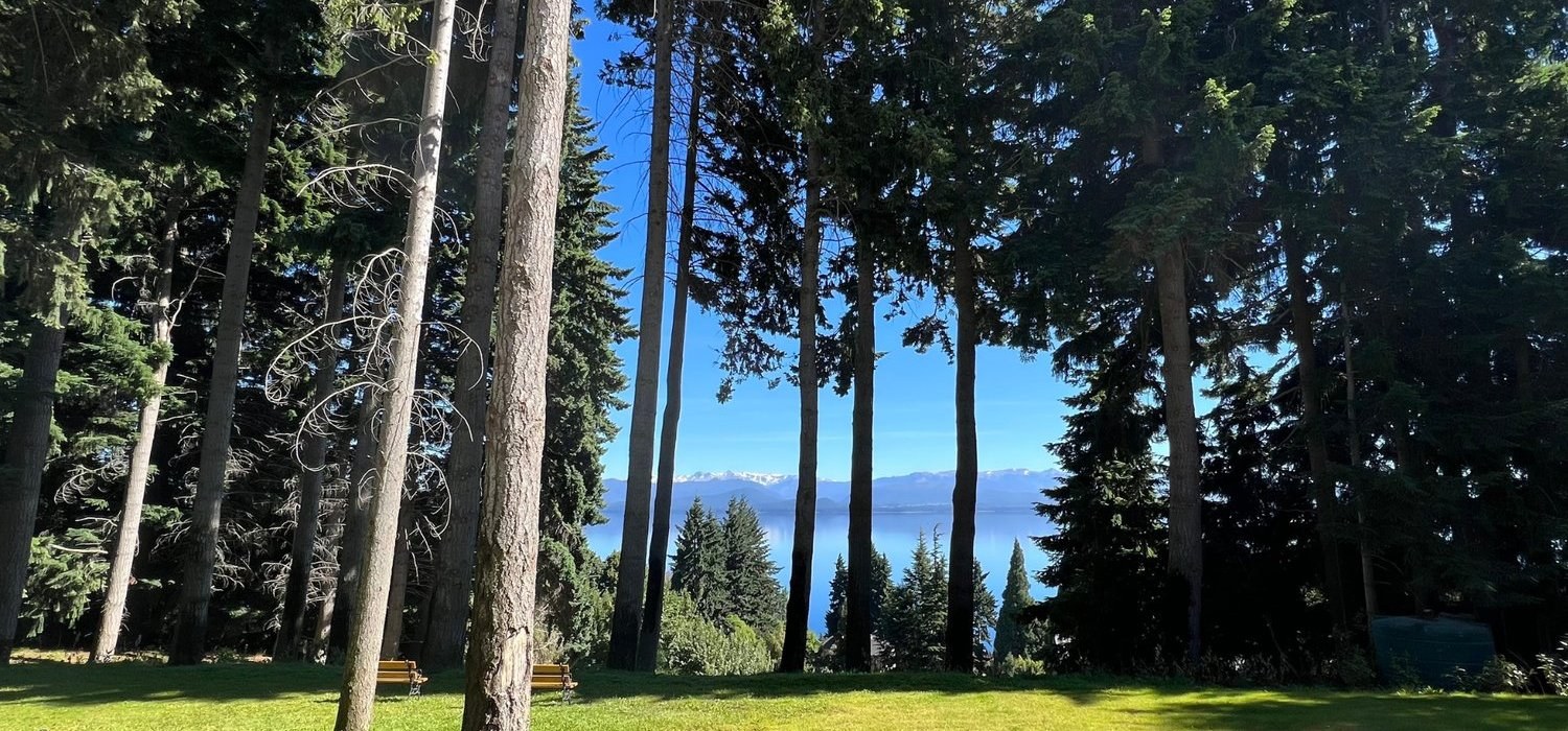 Trees and glimpses of the lake from the hotel grounds