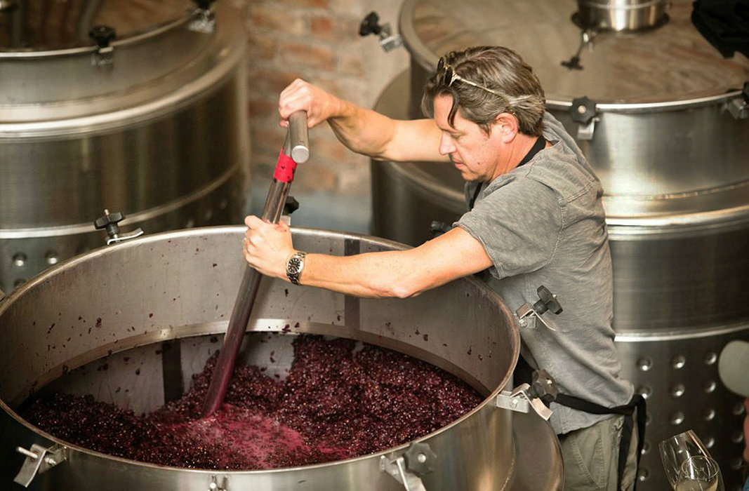 The resort has wine production facilities
