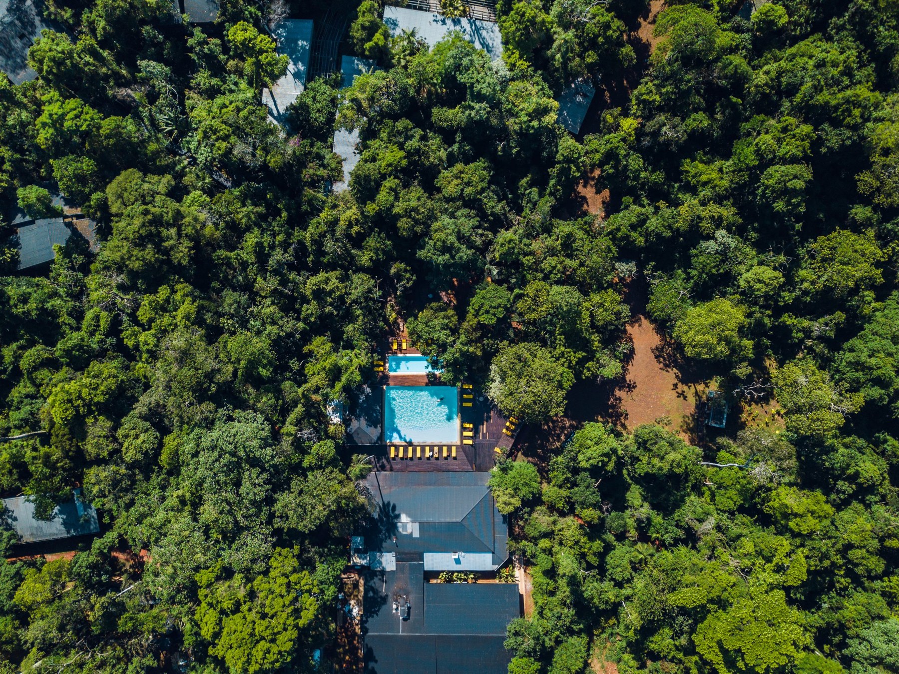 The lodge surrounded by Iryapú rainforest