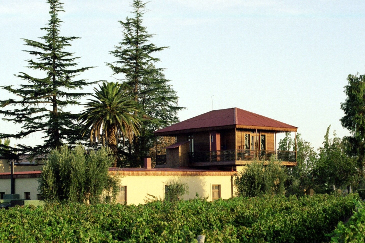 Club Tapiz among vineyards and olive trees